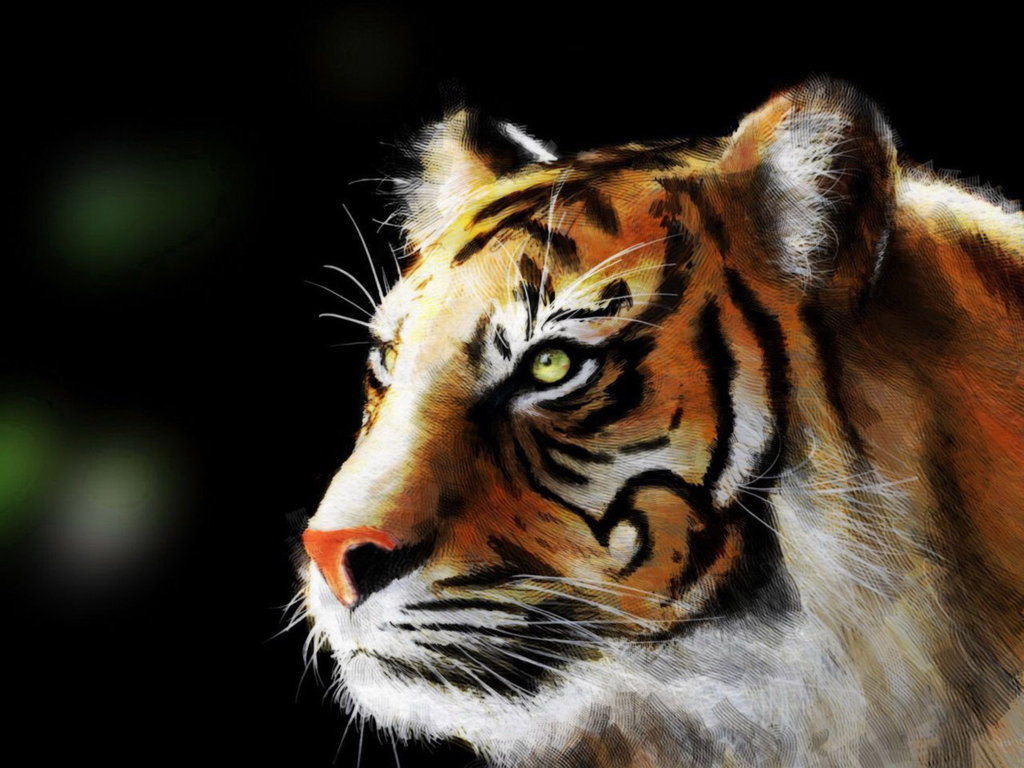 Wallpapers Siberian Tiger Elena Snowfall Hd 4k Animals Tigress